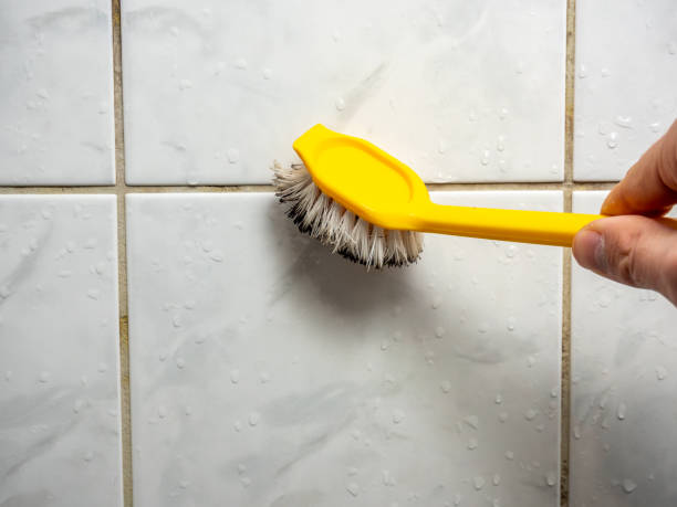 Best Fast Mold Removal  in Discovery Bay, CA