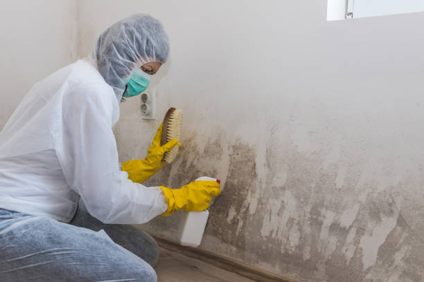 Best Crawl Space Mold Removal  in Discovery Bay, CA