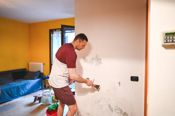 Best Attic Mold Removal  in Discovery Bay, CA